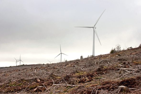 Image of wind farm in Clashindarroch Forest (please credit Wildcat Haven)